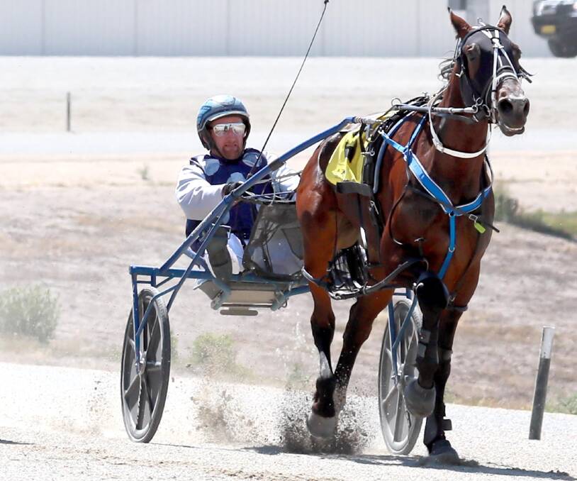STRONG BOOK: Jack Painting has a number of strong chances at Riverina Paceway on Friday. Picture: Les Smith