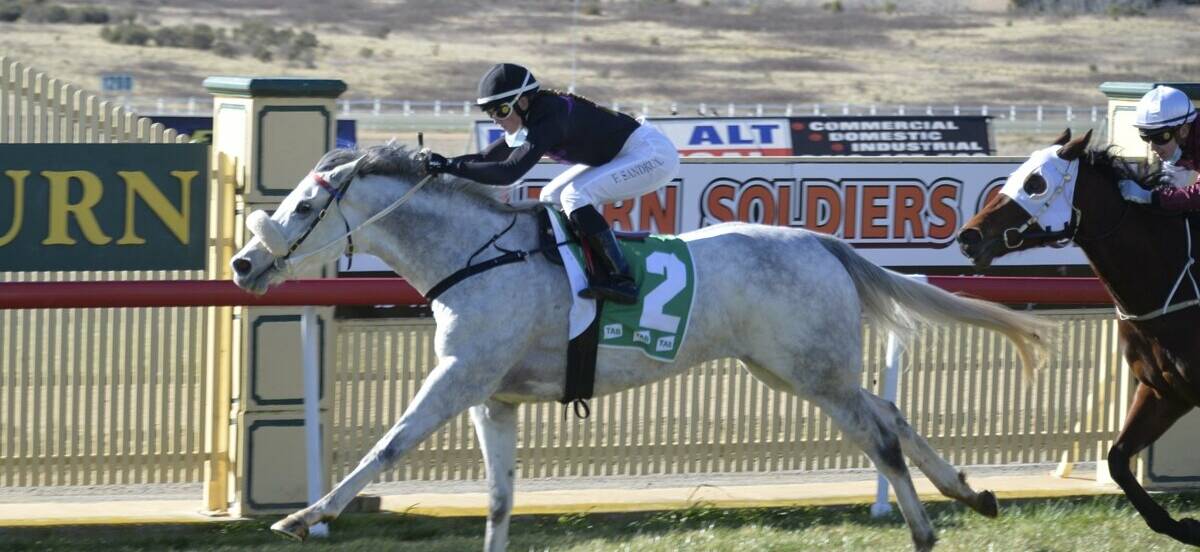 LEADING HOPE: Mitch Beer rates Snowbella's chances at Wagga on Monday. Picture: Bradley Photographers