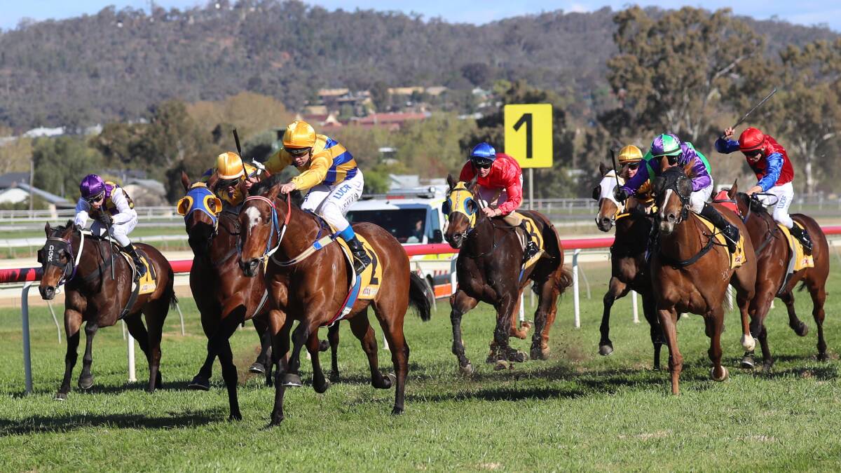 STRONG WIN: Riverbend Chief, with Mick Travers in the saddle, races away for victory at Murrumbidgee Turf Club on Saturday. Picture: Les Smith