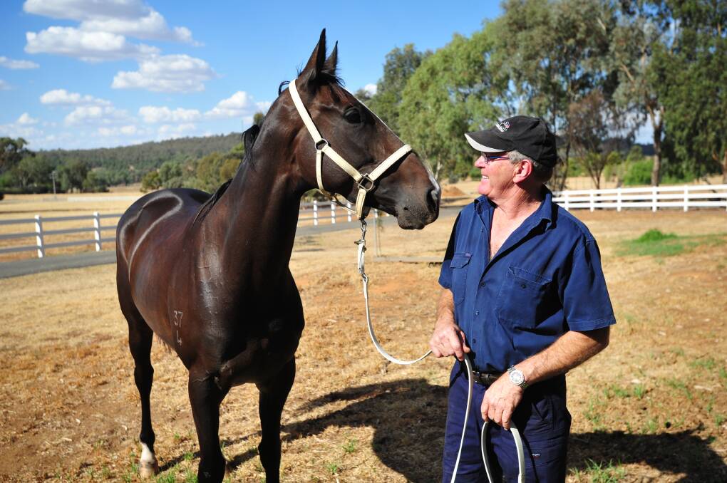 MIGHTY MARE: Wagga trainer Wayne Carroll with talented mare Lady Mironton, who will run in the Stan Sadleir Stakes at Murrumbidgee Turf Club on Friday. Picture: John Gray