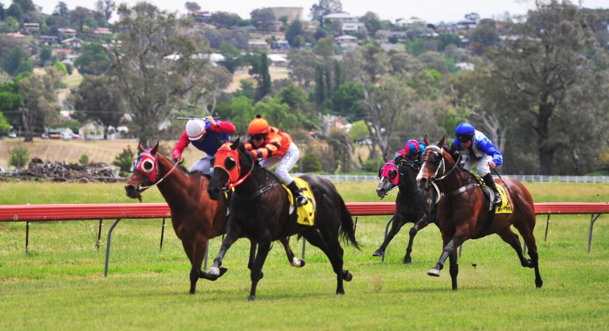 BIG RESULT: Tumut Turf Club will hold its first TAB meeting in 19 years in January. 