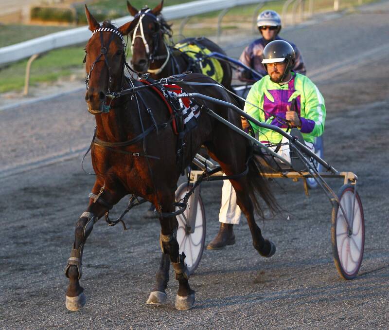 FINALIST: Wagga trainer-driver Brett Hogan (pictured) is up for the Kevin Newman Award for Driving Excellence at the Harness Racing NSW (HRNSW) awards night on Saturday.