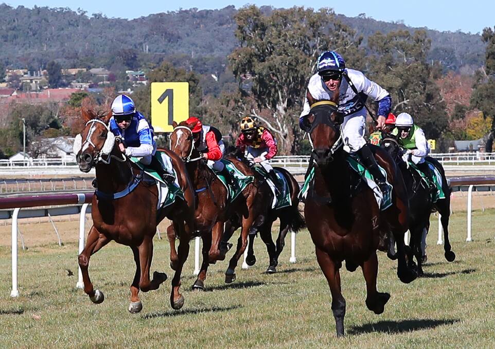 BIG DAY: Richard Bensley guides Tullaghan to victory at Wagga on Saturday for Mitchell Beer. Picture: Emma Hillier