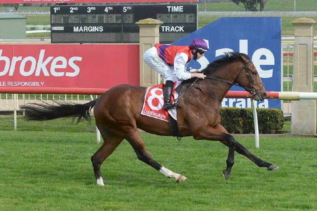 DEALING AND DANCING: Ain'tnodeeldun will head to the Wagga Gold Cup on Friday with the $2 million Big Dance in mind.
