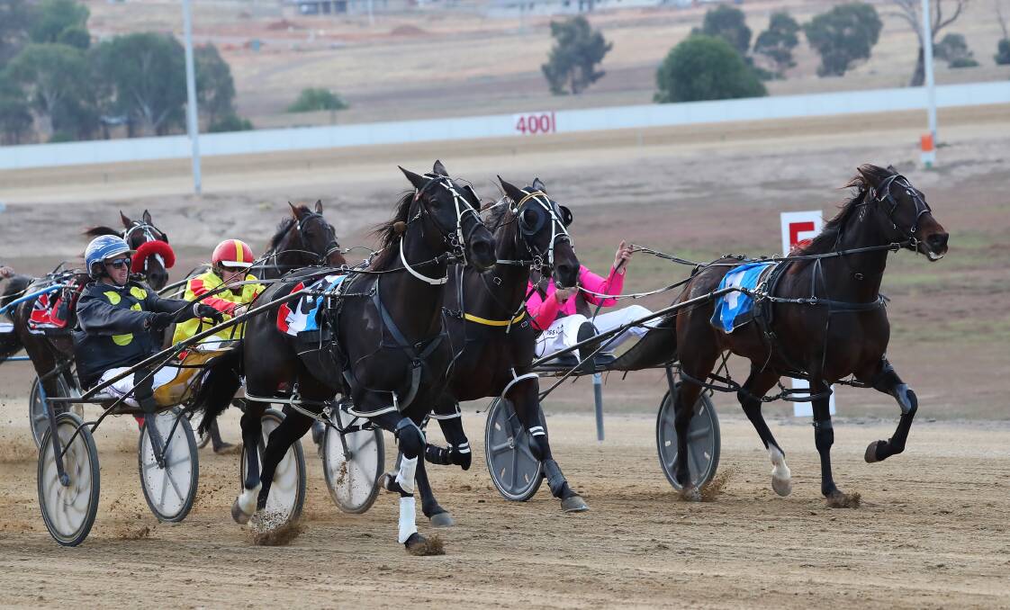 TOO GOOD: Blake Jones guides Im Feeling Firey to victory in the Wagga Carnival of Cups Easter Sunday Pace (1740m) at Riverina Paceway on Sunday. Picture: Emma Hillier