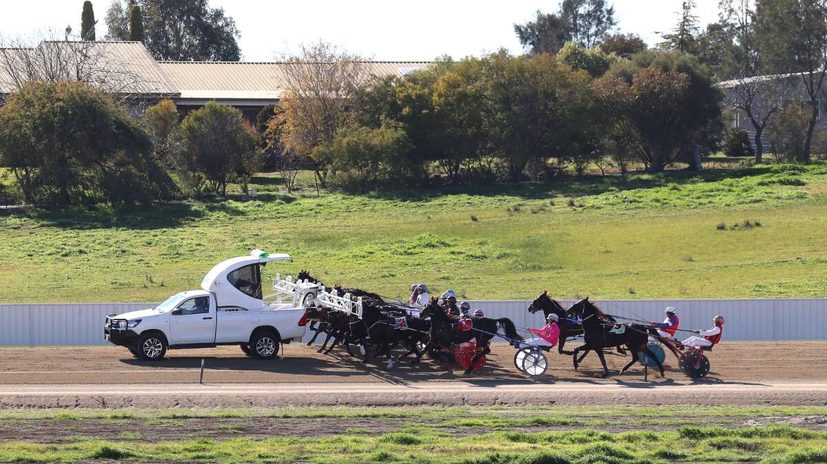 NEW ERA: Wagga Harness Racing Club will host its first night meeting at Riverina Paceway on Friday. Picture: Les Smith