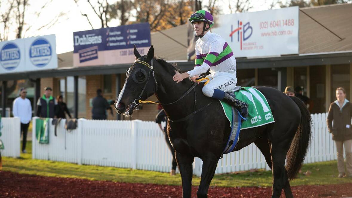 FLYING START: Jett Stanley returns after guiding Fever Tree to victory at Albury on Monday. Picture: James Wiltshire