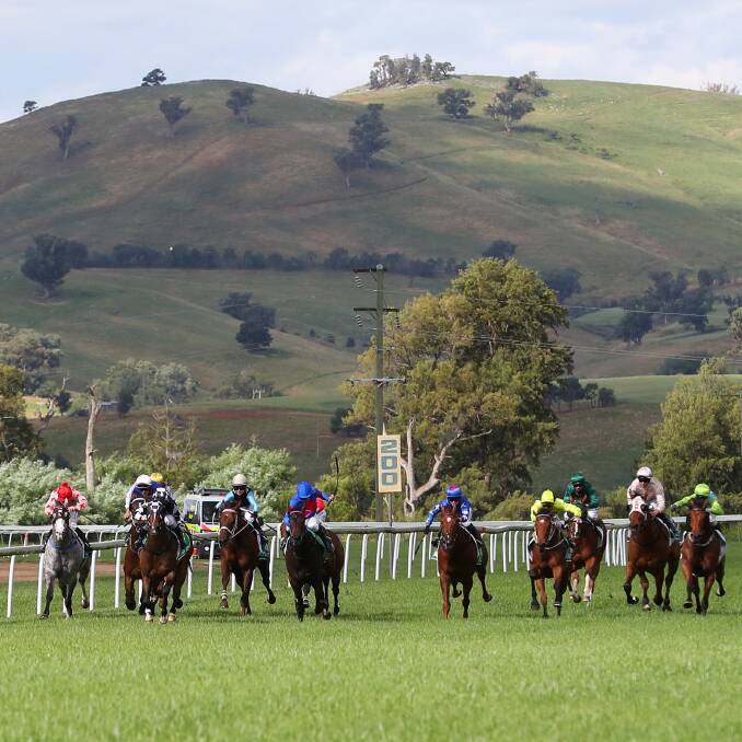 FEATURE CARNIVAL: Snake Gully Cup day last year. Picture: Emma Hillier