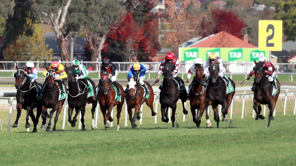 HERE WE GO: Horses thunder down the Wagga straight on Wagga Town Plate day on Thursday. Picture: Les Smith