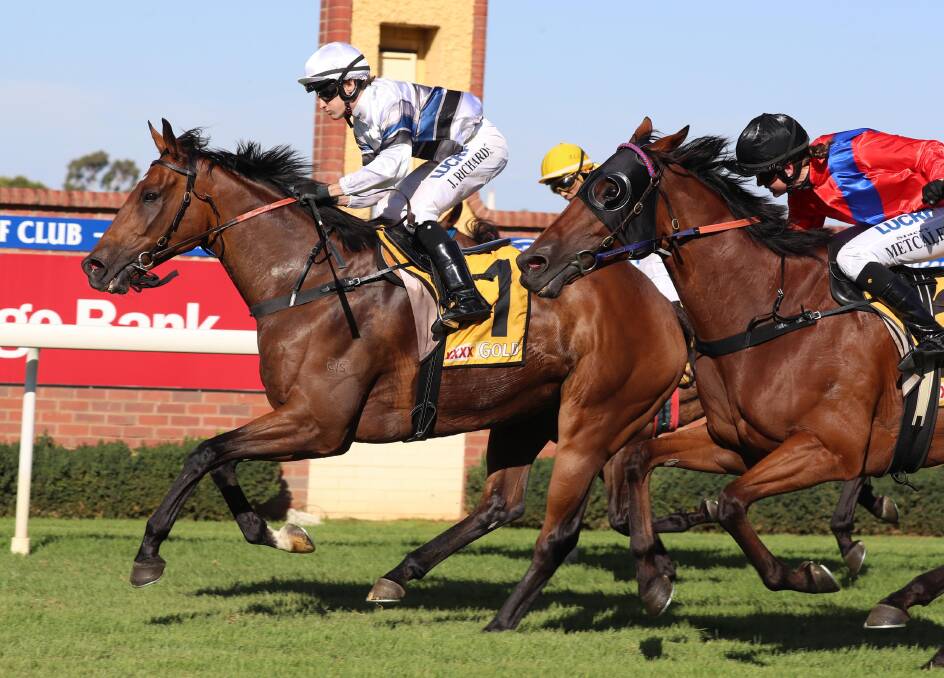 WINNER: Spunlago, pictured winning at Wagga with Josh Richards in the saddle, was named 2018-19 SDRA Horse of the Year. 