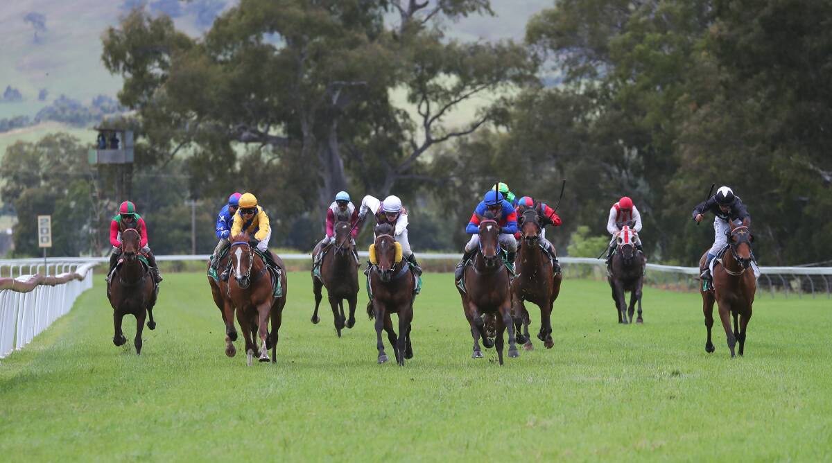 TIGHT FINISH: Sly Song edges out Would Be King to take out the TAB Country Magic Showcase Handicap at Gundagai on Friday. Picture: Matt Malone