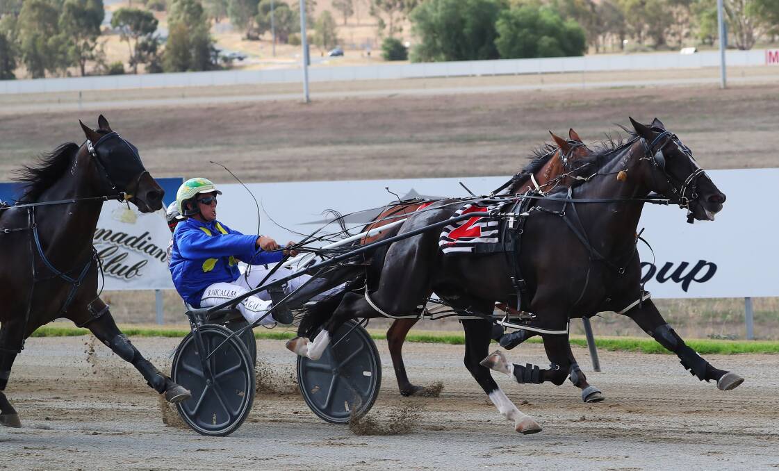 TOUGH WIN: Jesszz Reflection holds off her rivals to score the opening race at Riverina Paceway on Tuesday. Pictures: Emma Hillier