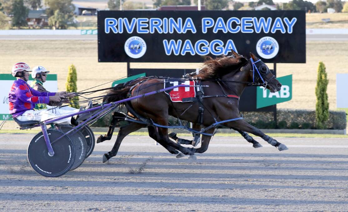 TIGHT FINISH: Winona Writer grabs Yarraman Bella right on the line to take out the opening mares heat of the Riverina Championships at Riverina Paceway on Sunday evening. Picture: Les Smith