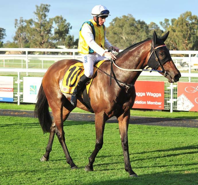 EARLY DAYS: Simon Miller returns son Man Of Peace after a win at Wagga earlier in his career.