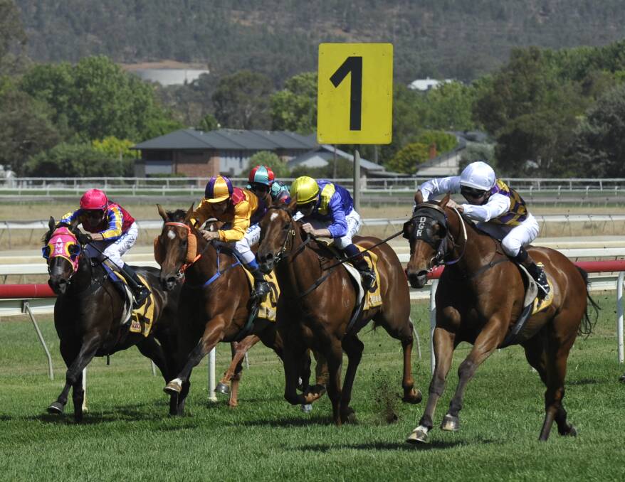 Exaggerate storming to victory at Wagga in December. Picture: Matt Malone