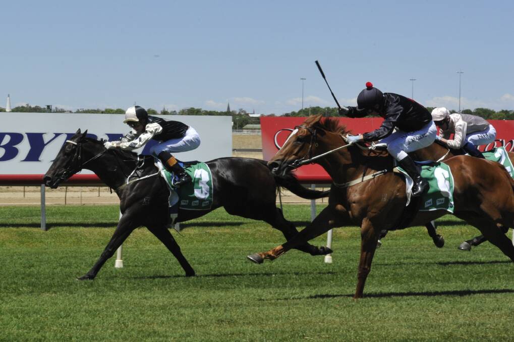 Halo Warrior holds off Stagger to win at Murrumbidgee Turf Club on Tuesday.