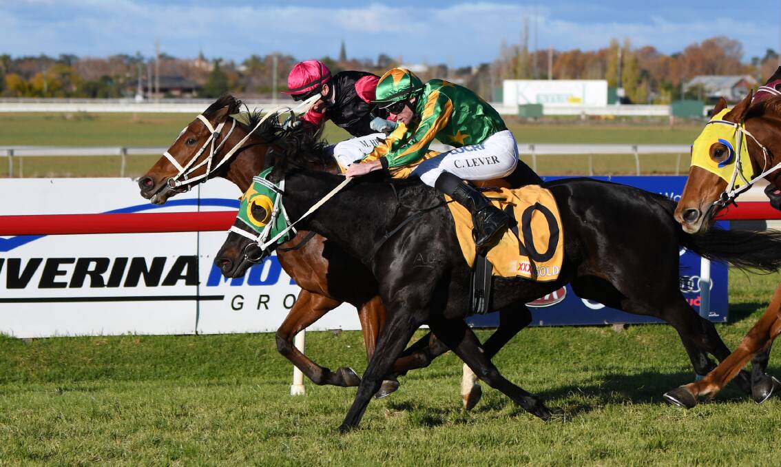 CLOSE CALL: Why Me Lord holds on strongly along the fence to win from Isadora Twinkle at Murrumbidgee Turf Club on Tuesday.