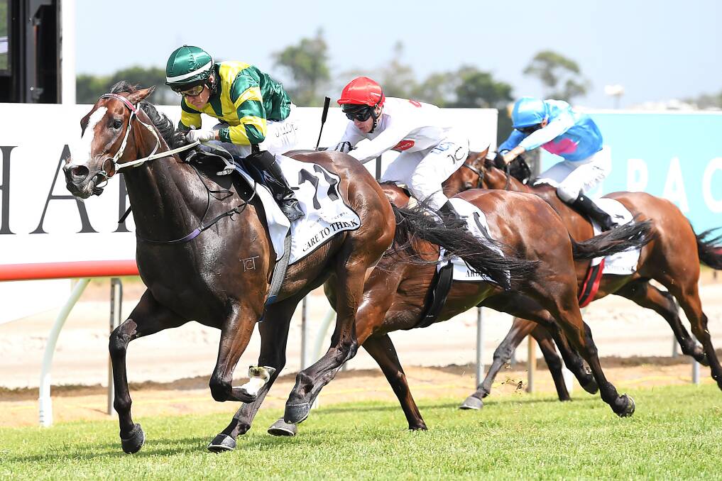 GIVE IT STRENGTH: Care To Think, pictured winning the Magic Millions Cup, will run on behalf of the William Farrer Hotel's Super Punters Club in the $1.3 million Kosciuszko (1200m) at Randwick on October 13. Picture: AAP