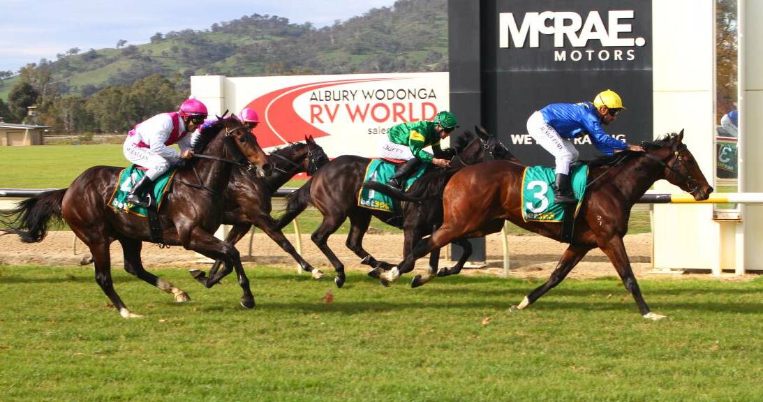 Branders Rule winning the Jack Maher Classic last year. Picture: Racing Photos