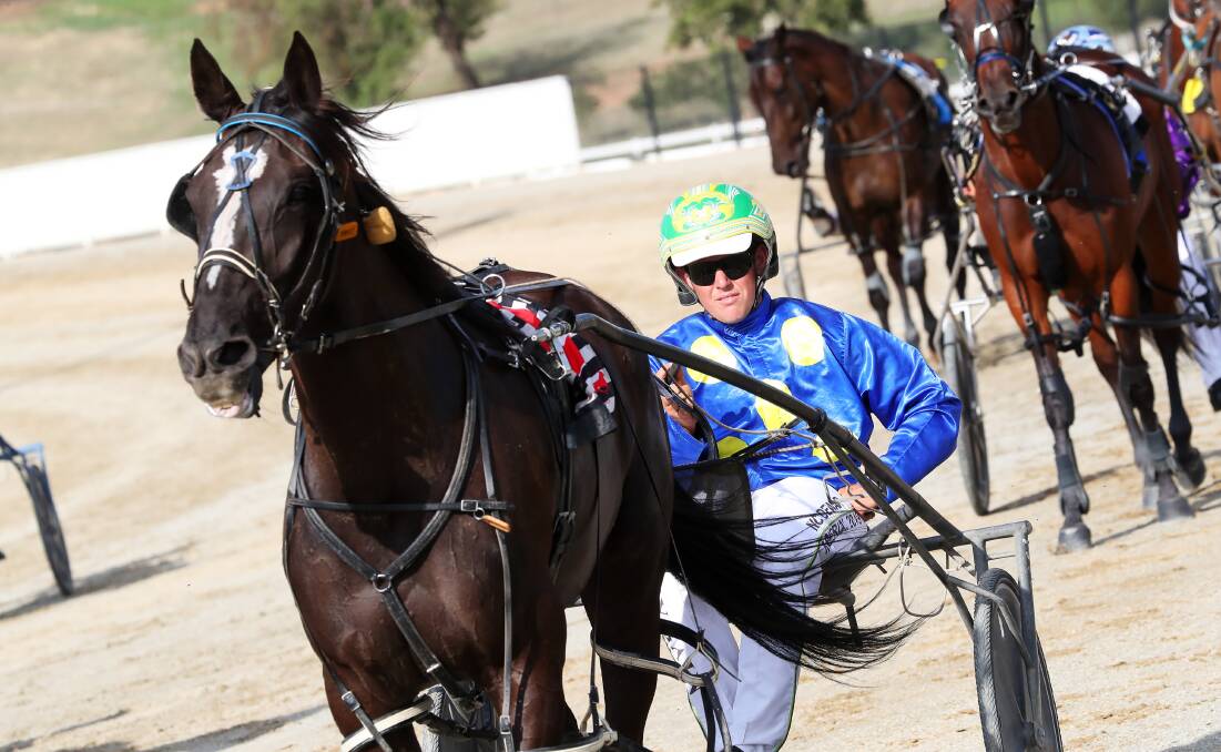 Blake Micallef returns on Jesszz Reflection after the win at Riverina Paceway on Tuesday.