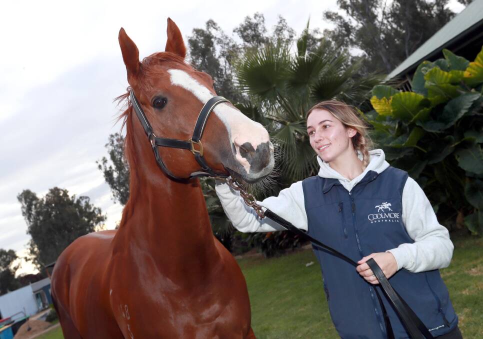 PLATE DREAM: Wagga apprentice jockey Hannah Williams with Forever Newyork at Gary Colvin's stables on Wednesday. Picture: Les Smith