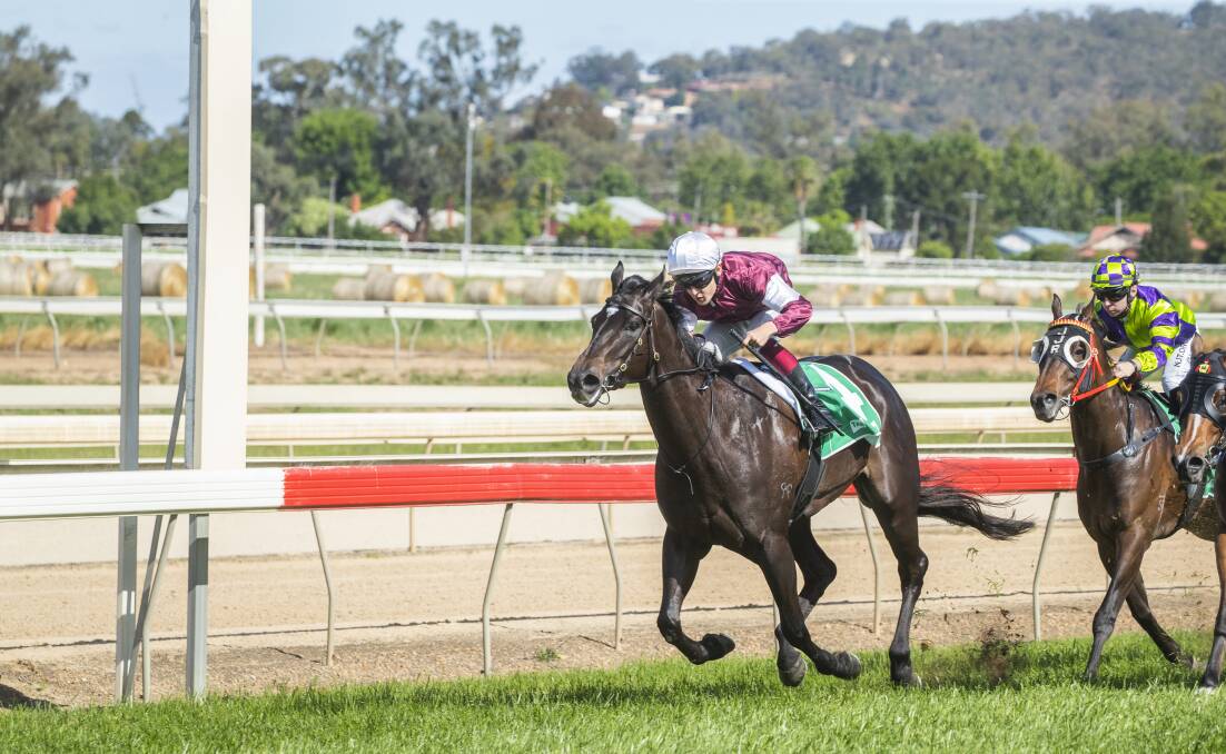 STRONG WIN: Moon Dancer leads all the way for victory at Murrumbidgee Turf Club on Monday. Picture: Ash Smith