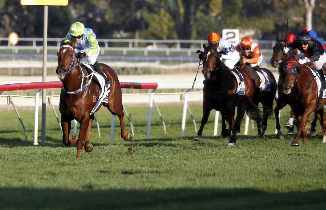 OFF AND GONE: Tyler Schiller lets Front Page loose as they race away to win the $200,000 Wagga Town Plate (1200m) at Murrumbidgee Turf Club on Thursday. Picture: Les Smith