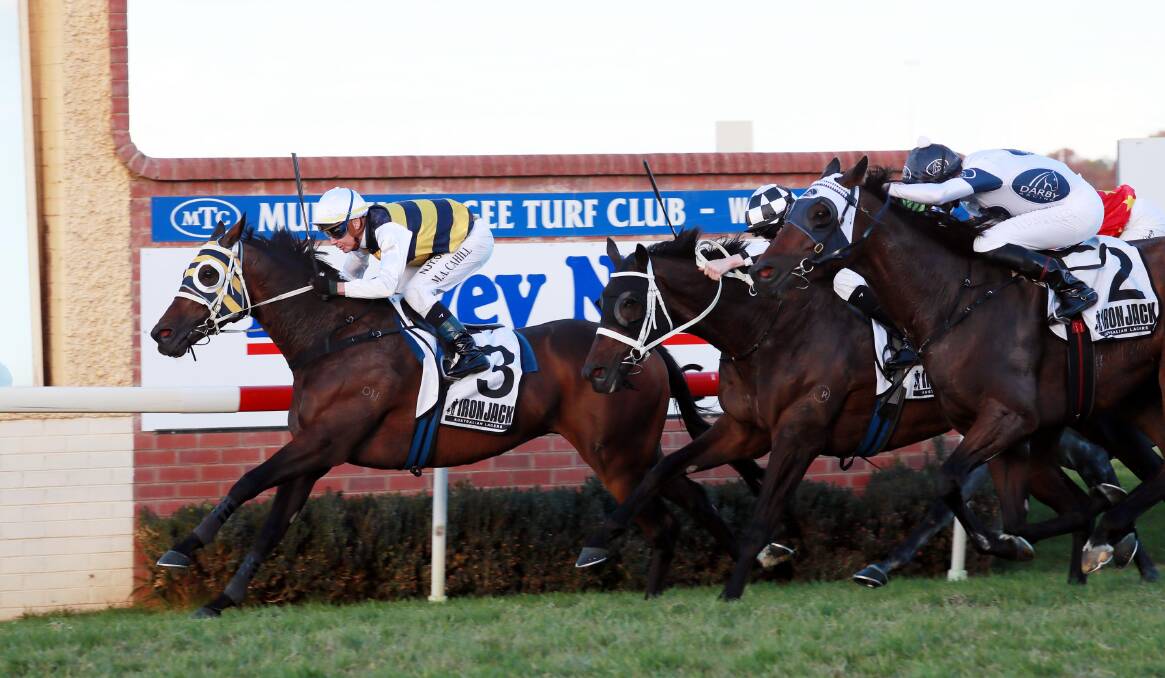 SURVIVED: Inverloch, with Mathew Cahill in the saddle, holds off the chasing pack to win the $200,000 Wagga Gold Cup (2000m) on Friday. Picture: Les Smith