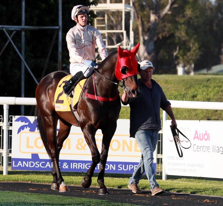 BACK IN BUSINESS: The Chris Heywood-trained Blitzar will resume from a short spell in the Wagga Scamper at Murrumbidgee Turf Club on Tuesday. Picture: Les Smith