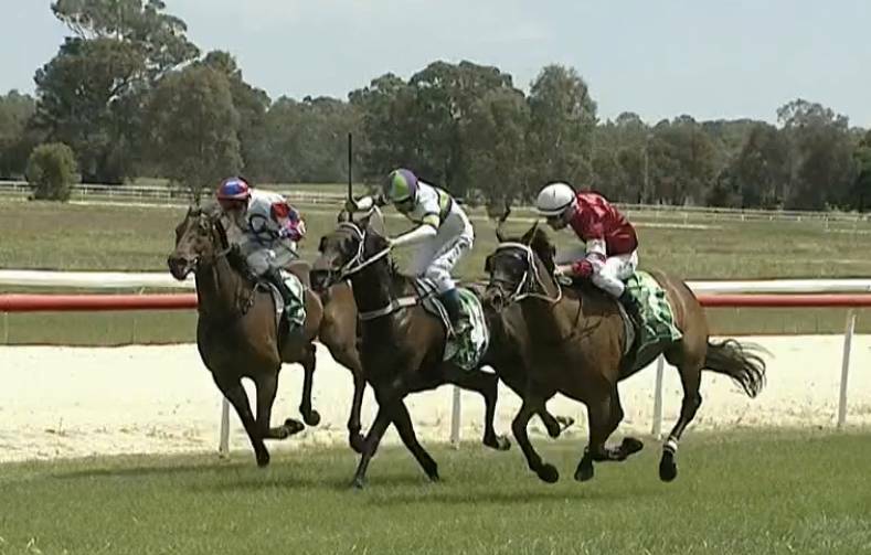 CONSISTENT PERFORMER: Saint Henry (middle) winning at Corowa for Albury trainer Rob Wellington last year.