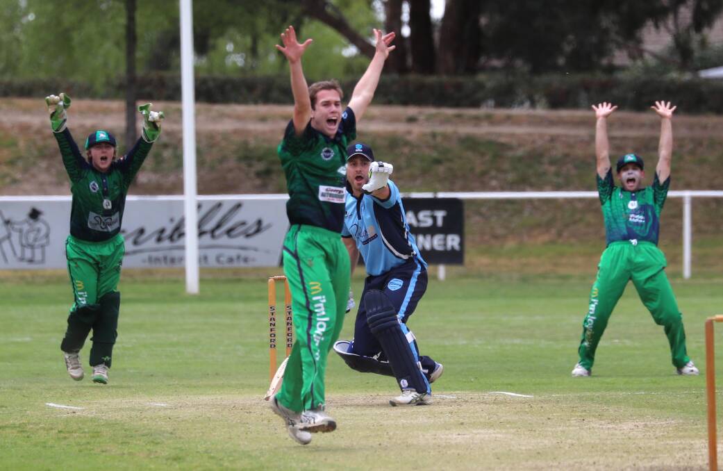 HOWZAT: Wagga City bowler Max Harper asks the question but is unsuccessful in the game against South Wagga at McPherson Oval on Saturday. Picture: Les Smith