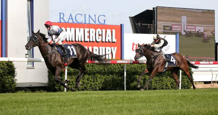 Bianco Vilano defeating Our Last Cash to win the SDRA Country Championships Qualifier at Albury earlier this year. Picture by The Border Mail