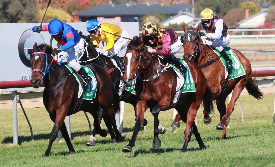 STRONG FINISH: Loving Cilla (right) storms up and goes past Sly Song to win on Wagga Gold Cup day. Pictures: Les Smith