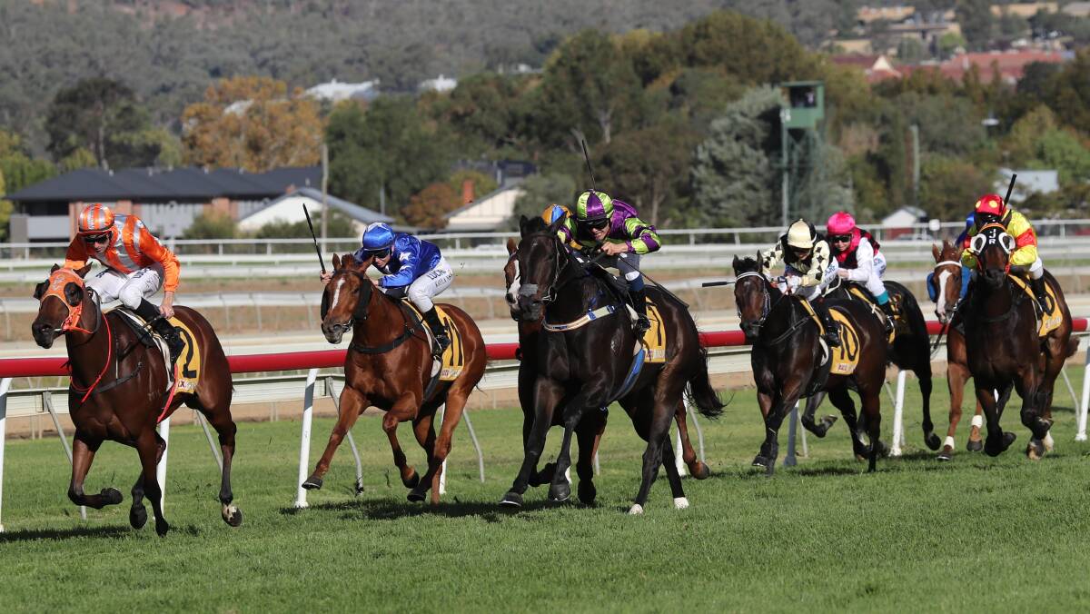Levee Bank (left) winning on Wagga Gold Cup day last year.