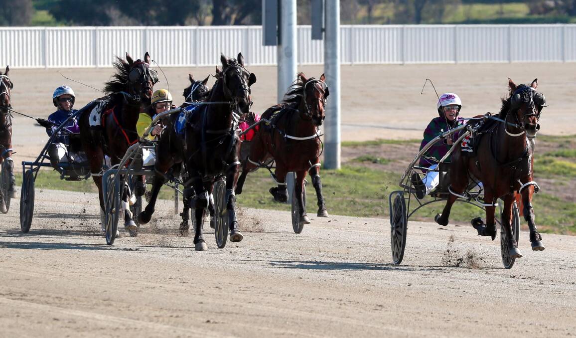 Paige Bevan guides Machs Legacy to victory at Wagga on Friday. Picture: Les Smith