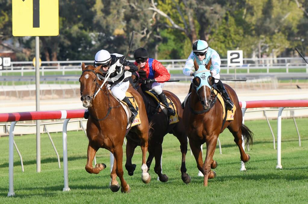 CATCH ME IF YOU CAN: Michael Heagney guides Hayne Plane to victory in the William Farrer Hotel Country Cup (2000m) at Murrumbidgee Turf Club on Tuesday.