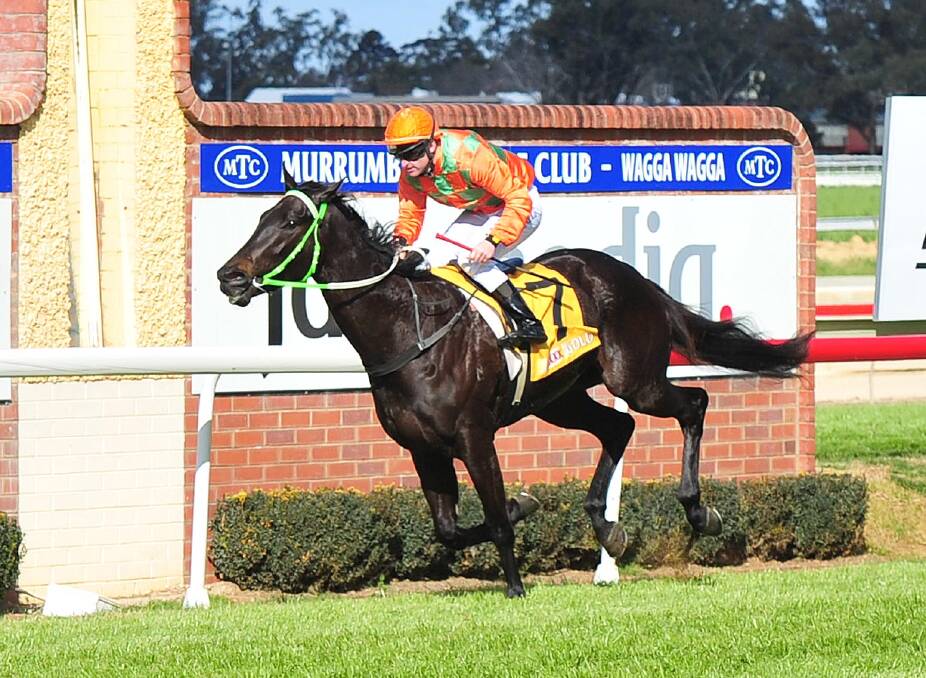Noble Descent winning at Wagga.