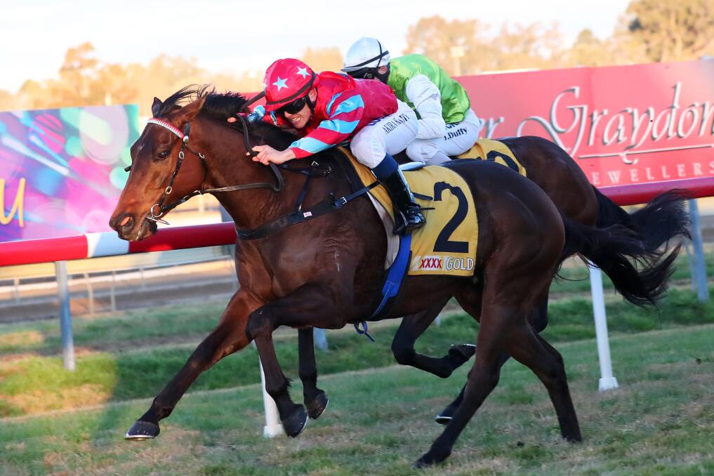 BACK AGAIN: Wodonga sprinter Cash Crisis will chase a second consecutive Albury City Handicap victory on Thursday. Picture: Emma Hillier