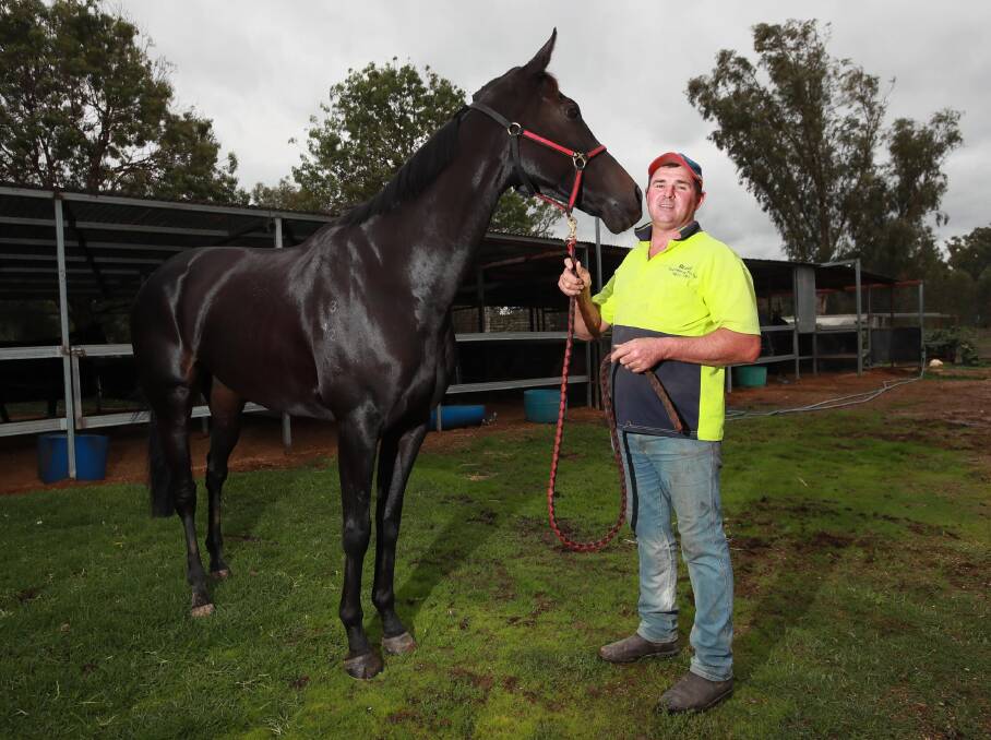 STRONG TEAM: Gentleman Max will back up from the Wagga Gold Cup at Murrumbidgee Turf Club on Sunday for Wagga trainer Trevor Sutherland. Picture: Les Smith