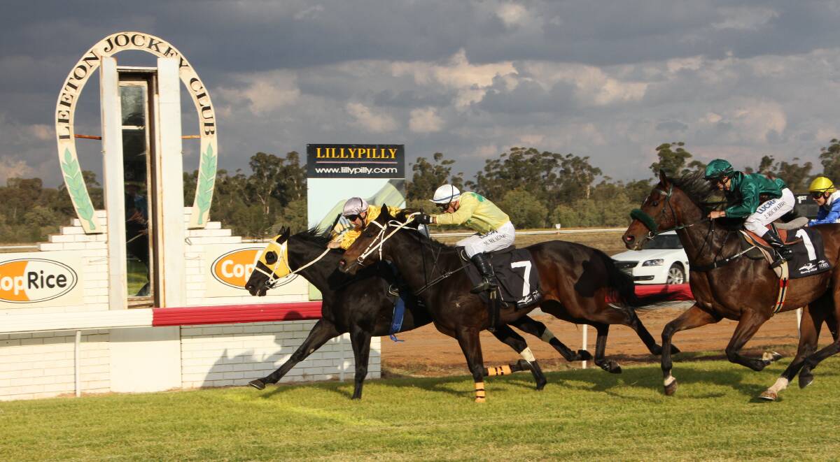 TIGHT FINISH: Black Fusion holds off Smart Al and Zarreig to win the Leeton Cup on Saturday. Picture: Ron Arel