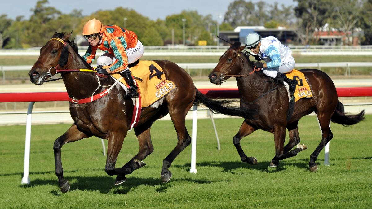 2015 Wagga Town Plate winner Got The Goss is nominated for Sunday's prelude.