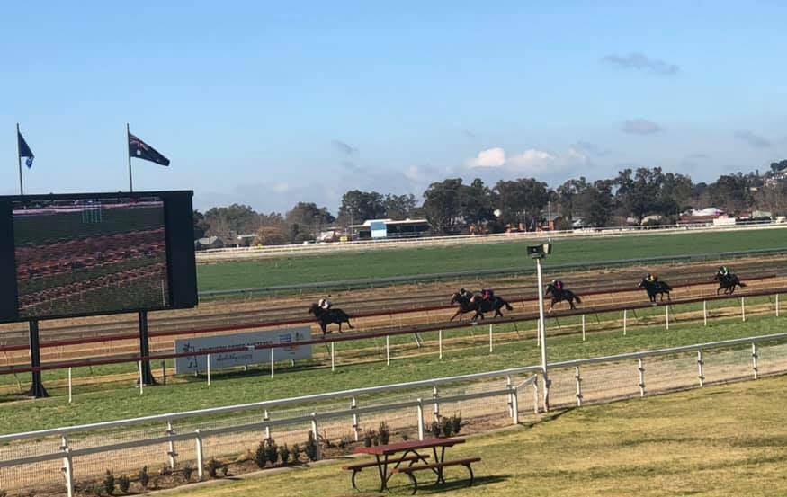 BUSY MORNING: Horses go around in one of the 10 trials at Wagga on Tuesday. Picture: Murrumbidgee Turf Club