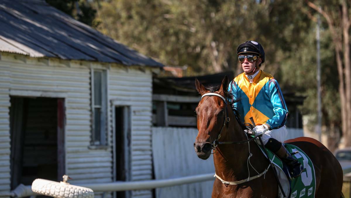 LEADING CHANCE: Oamanikka will be one of two Donna Scott runners in the Albury City Handicap. Picture: The Border Mail