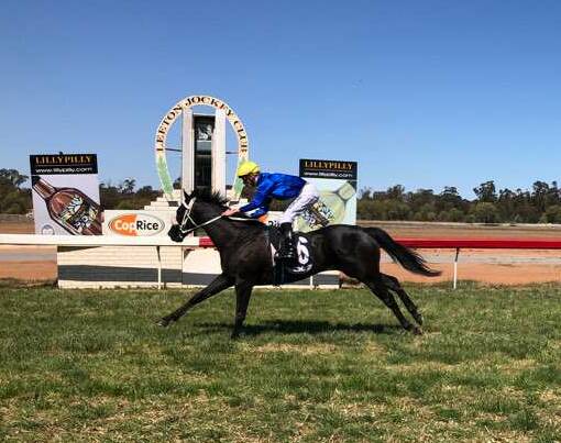 DOMINANT: Shinseki races away to claim her maiden victory by five lengths at Leeton on Monday. Picture: Talia Pattison