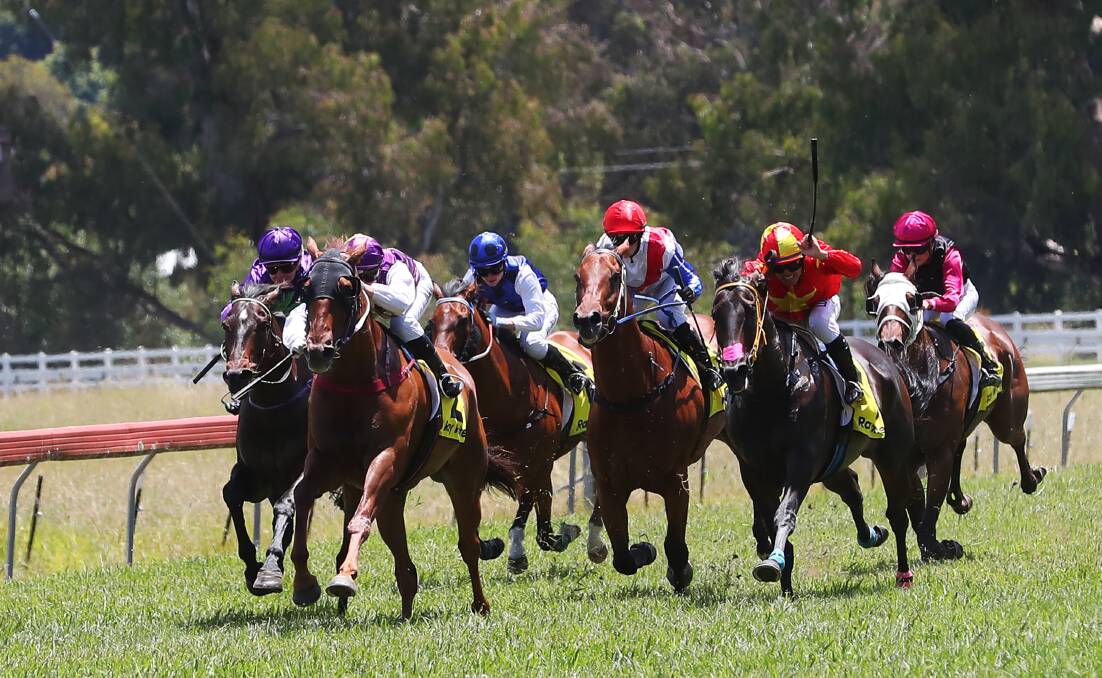 TIGHT FINISH: Wagga apprentice Hannah Williams pushes Lennox Road out to victory at Tumut on Saturday. Picture: Emma Hillier