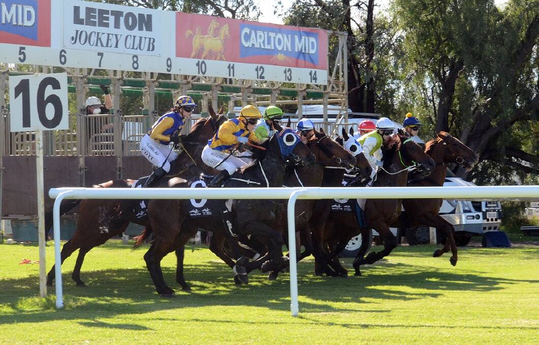 The gates crash back in the Leeton Cup on Thursday. Picture: Kylie Shaw - Trackpix