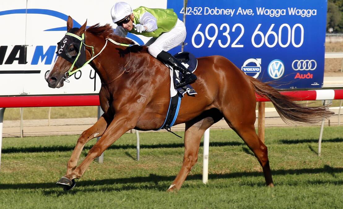 Another One will barrier trial at Wagga on Thursday.