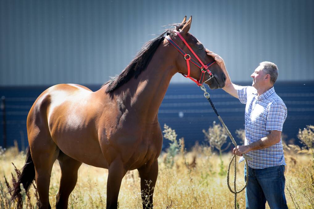 FULL OF PROMISE: Albury trainer Garry Worsnop with Big Haz ahead of his first-up run on Friday. Picture: Kylie Esler