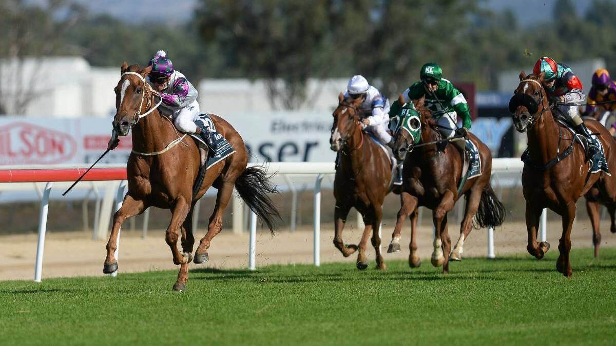 TRACK SPECIALIST: Mount Horeb wins the City Handicap at Albury last month. Picture: The Border Mail