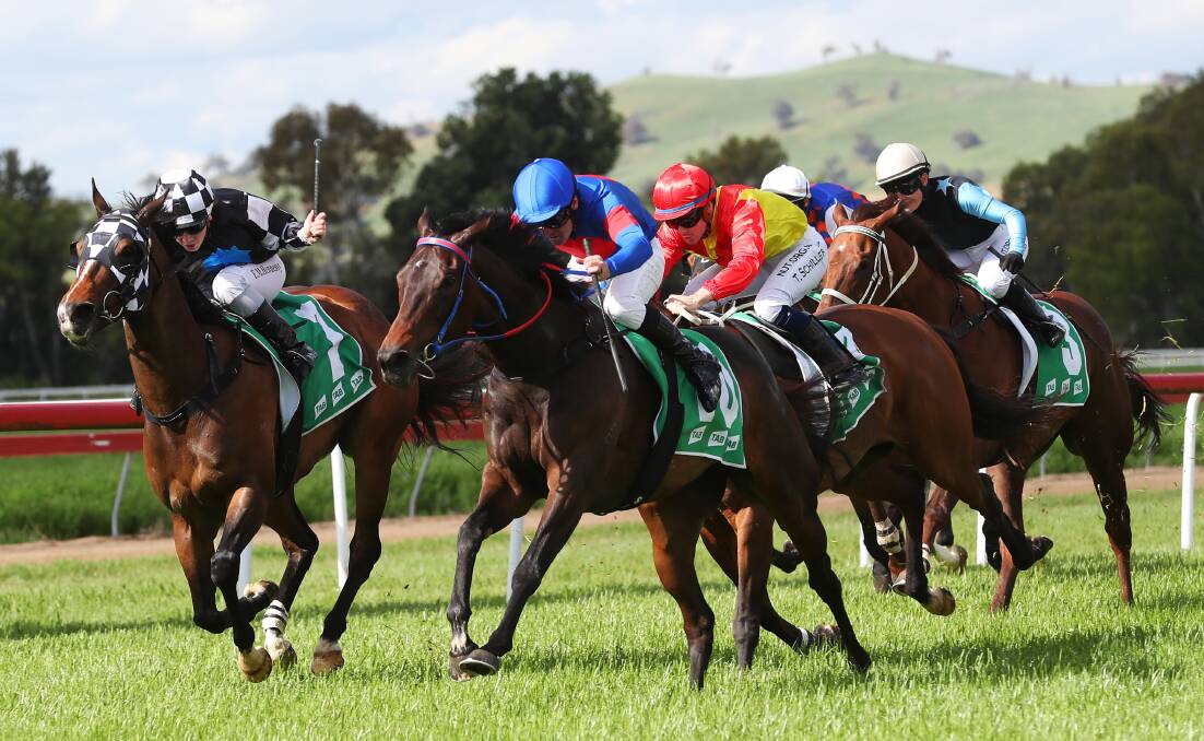 PROMISING MARE: Exotic Deel races away with the $50,000 Country Magic (1400m) at Gundagai on Friday. Picture: Emma Hillier